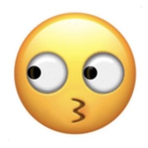 Meet your Posher, Ray